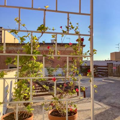 Terrace New 6